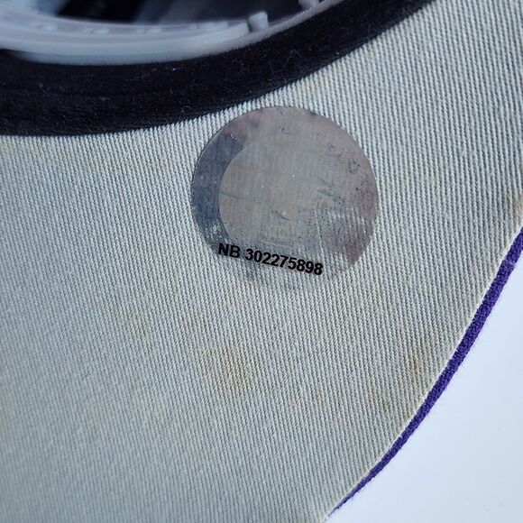 Toronto Raptors Mitchell & Ness Purple Hardwood Classics Earthquake Snapback Hat - Picture 14 of 15